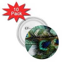 Peacock Feathers 1 75  Buttons (10 Pack)