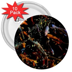 Shoal Of Koi Fish Water Underwater 3  Buttons (10 Pack) 