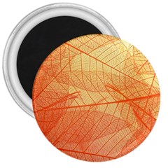 Abstract Texture Of Colorful Bright Pattern Transparent Leaves Orange And Yellow Color 3  Magnets by Grandong