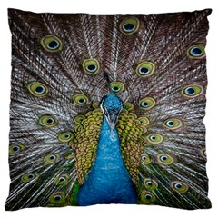 Peacock-feathers2 Standard Premium Plush Fleece Cushion Case (one Side)