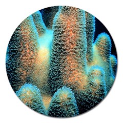 Photo Coral Great Scleractinia Magnet 5  (round)