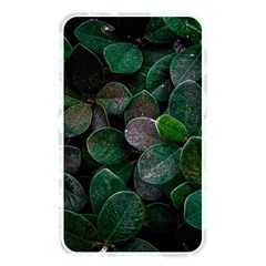 Dark Nature , Nature, Edeg Memory Card Reader (rectangular)