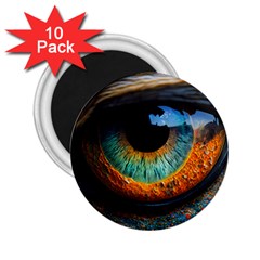 Eye Bird Feathers Vibrant 2 25  Magnets (10 Pack) 