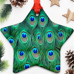 Feather, Bird, Pattern, Peacock, Texture Ornament (star)