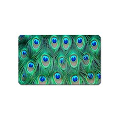 Feather, Bird, Pattern, Peacock, Texture Magnet (name Card)