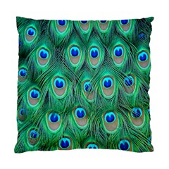 Feather, Bird, Pattern, Peacock, Texture Standard Cushion Case (two Sides)