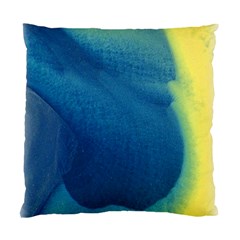 Plus, Curved Standard Cushion Case (one Side)
