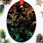 Fractal Patterns Gradient Colorful Ornament (Oval) Front