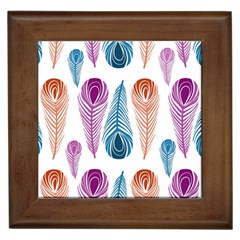 Pen Peacock Colors Colored Pattern Framed Tile