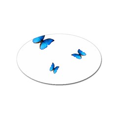 Butterfly-blue-phengaris Sticker (oval)
