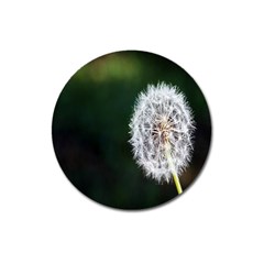 White Flower Magnet 3  (round)