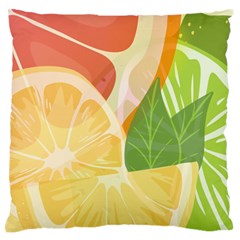 Citrus Fruit Healthy Vitamin Large Premium Plush Fleece Cushion Case (one Side) by Paksenen