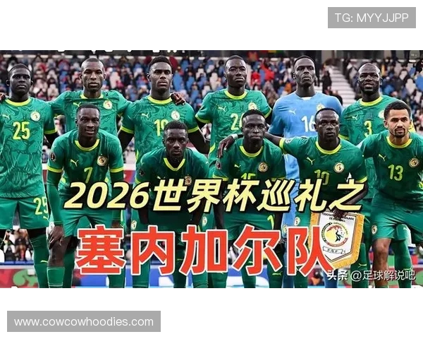 世界杯法国对阵塞内加尔比赛全场观看指南与精彩亮点解析 世界杯法国对阵塞内加尔比赛全场观看指南与精彩亮点解析